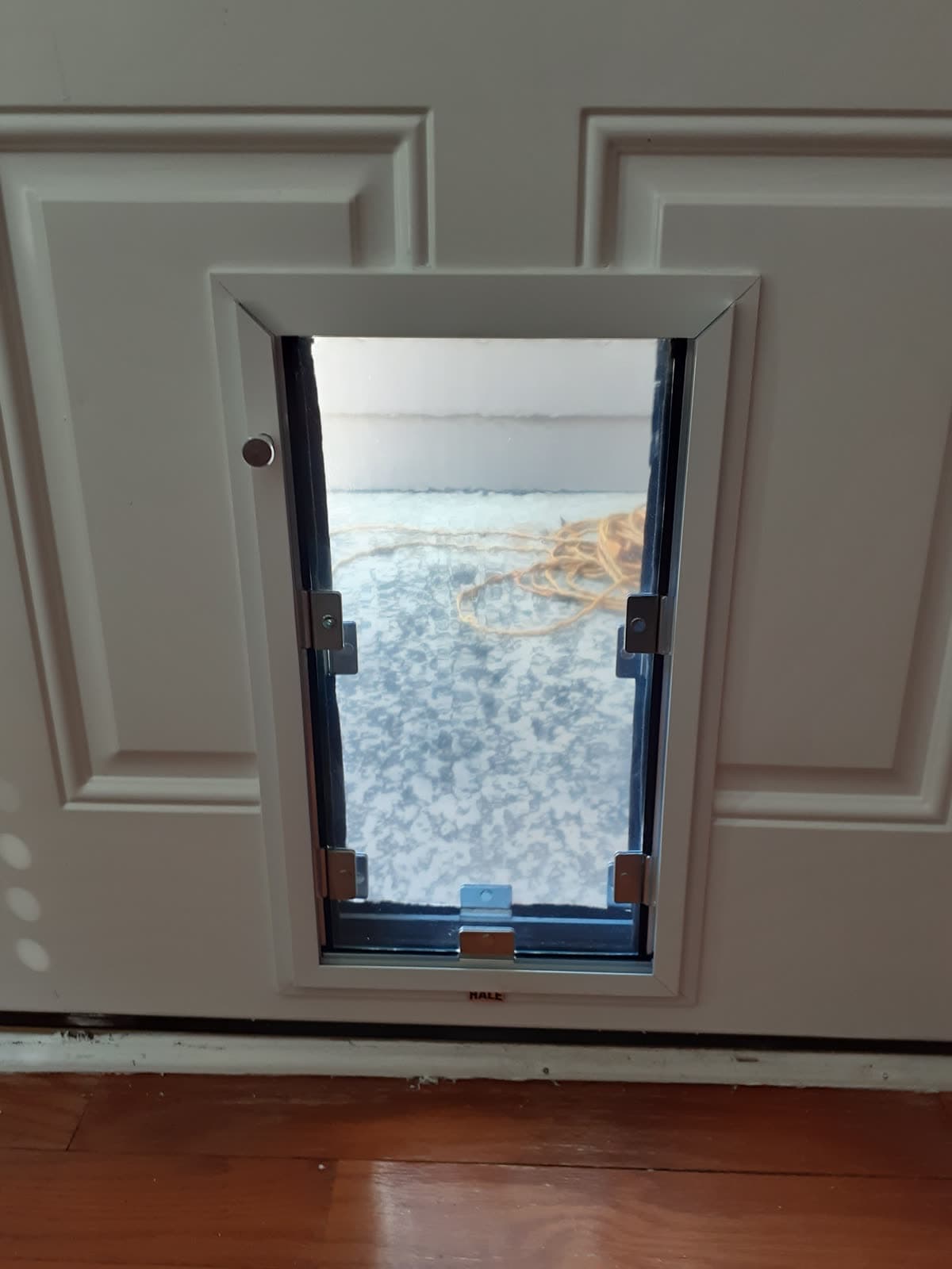 Real Elite Pet Doors installation — a custom-fitted pet door in a Georgia home