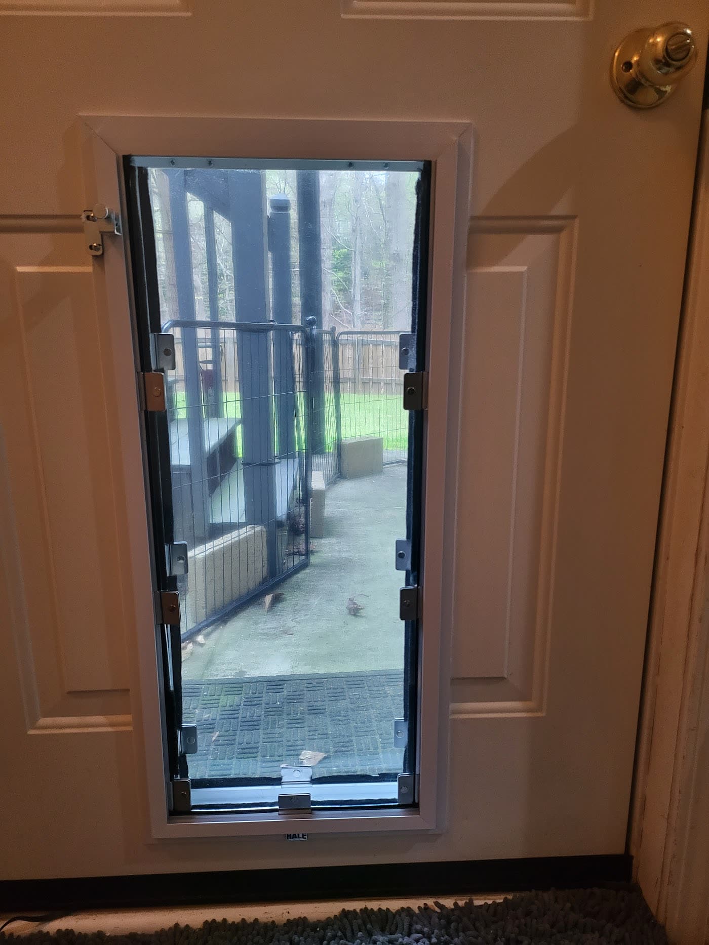 A pet door installed in a glass patio door