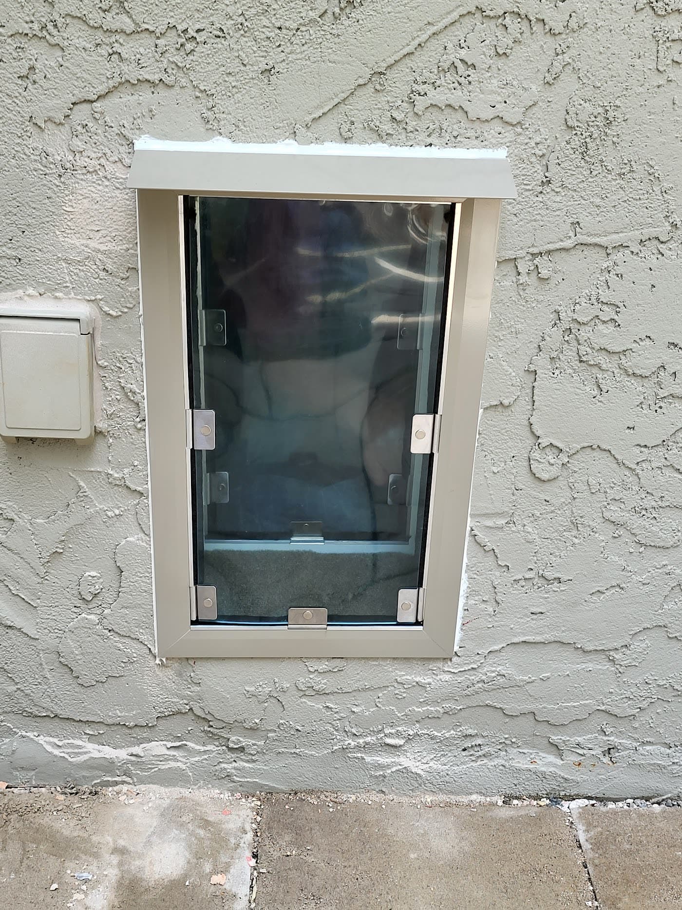 A pet door installed in a glass-paned French door