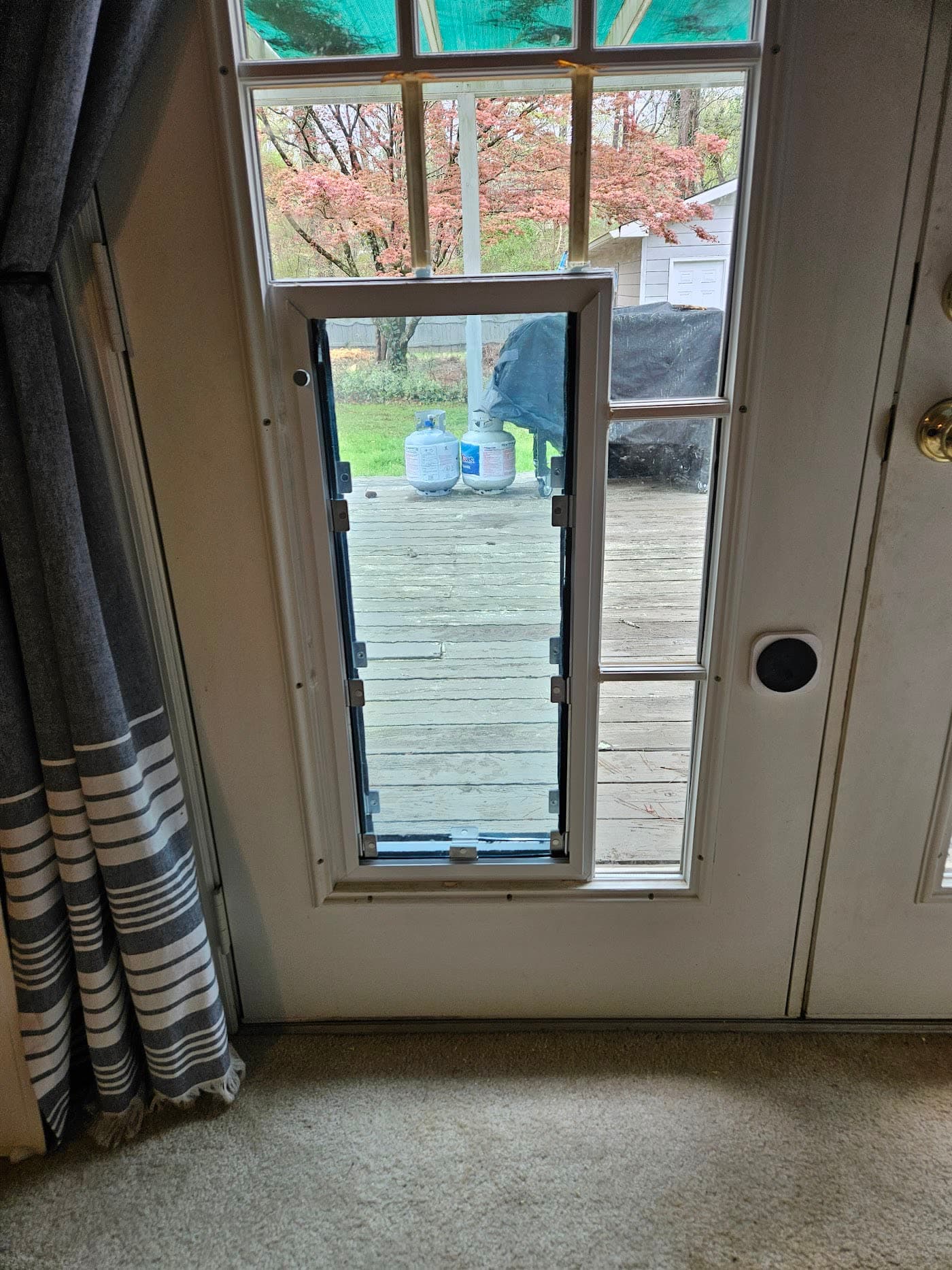 A pet door installed in a door with glass sidelights