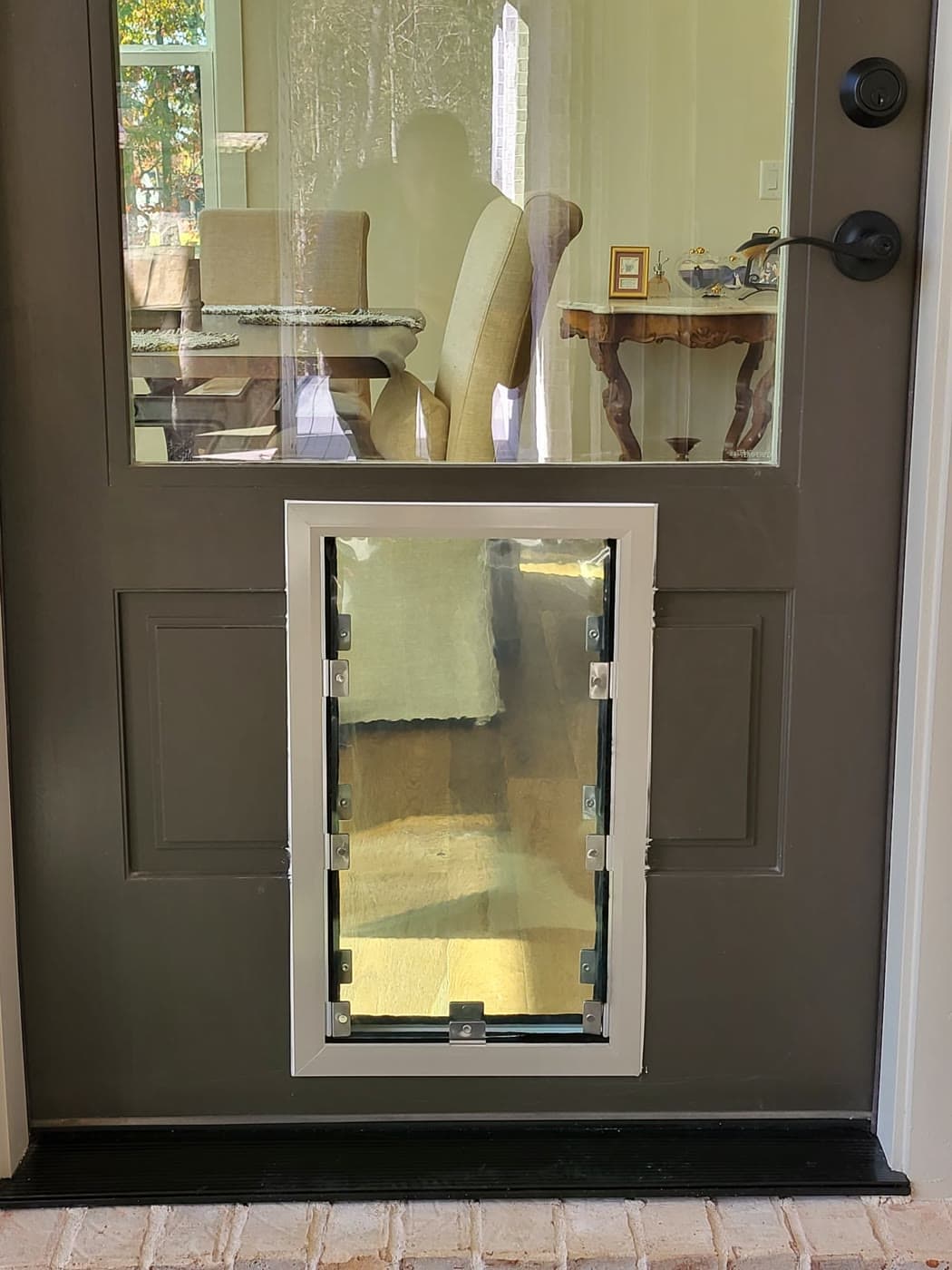 A white pet door installed in the lower panel of a glass entry door