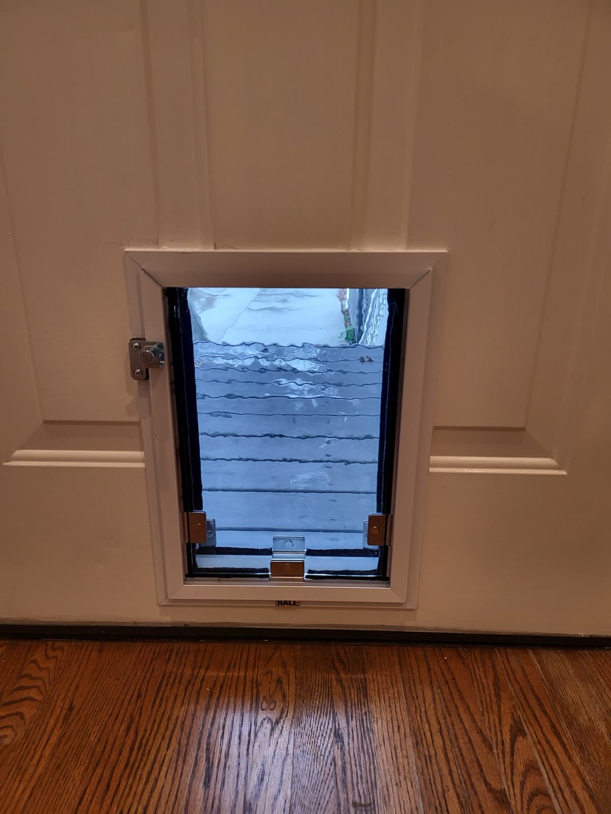 Real Elite Pet Doors installation — a custom-fitted pet door in a Georgia home