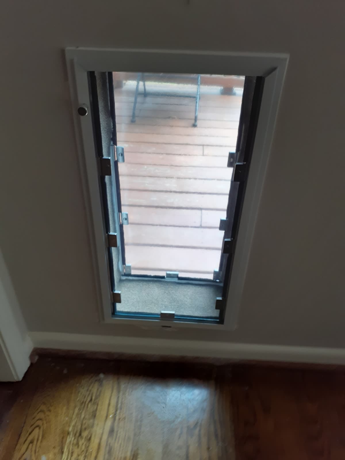 Real Elite Pet Doors installation — a custom-fitted pet door in a Georgia home