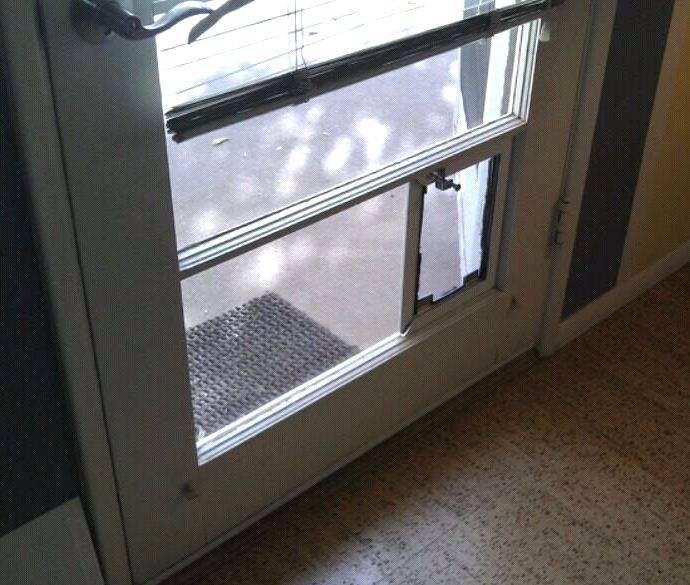 Hale Pet Door Single Pane In Glass Dog Door